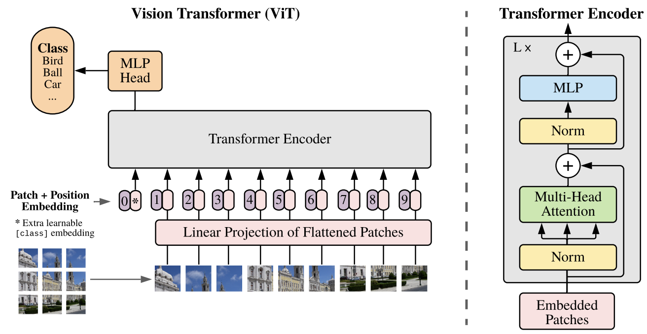 ViT 模型结构概览